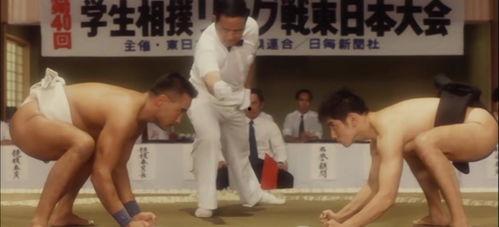 五个相扑的少年,相扑少年的青春竞技之旅